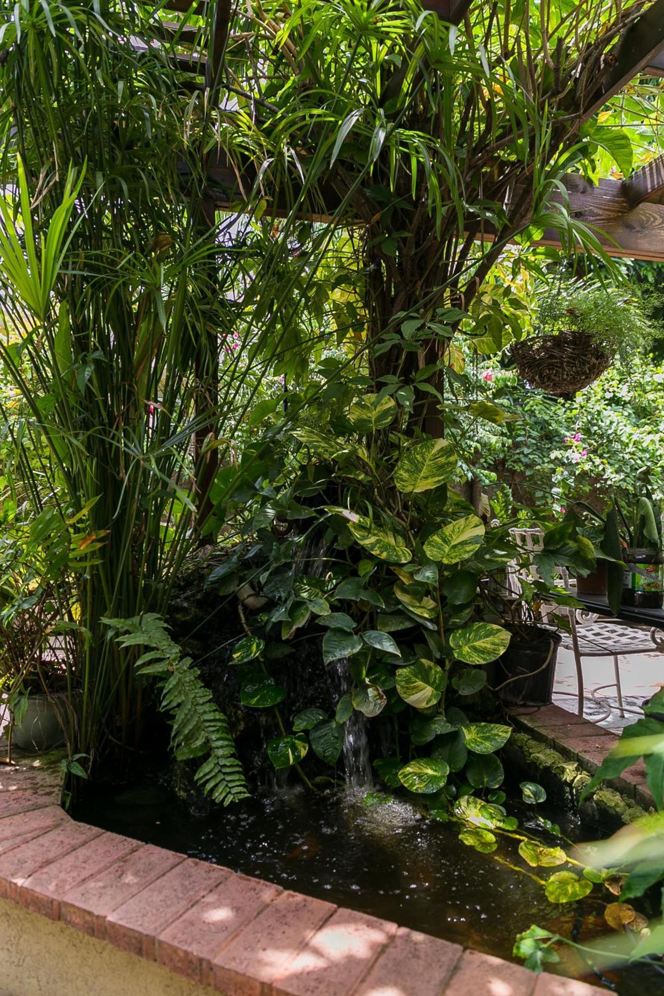 Apartamento Botanic Bliss Living In Kingston Exterior foto