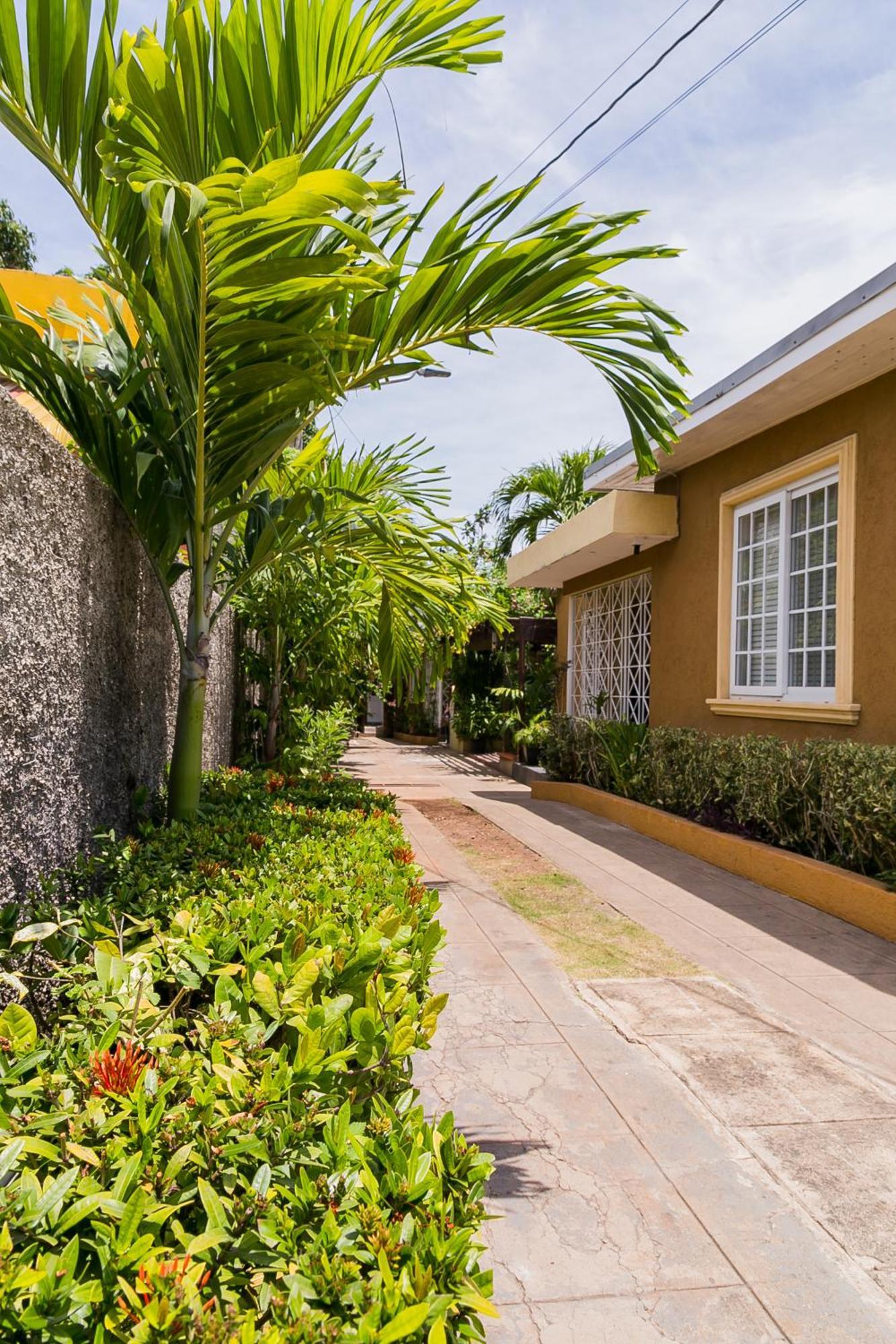 Apartamento Botanic Bliss Living In Kingston Exterior foto